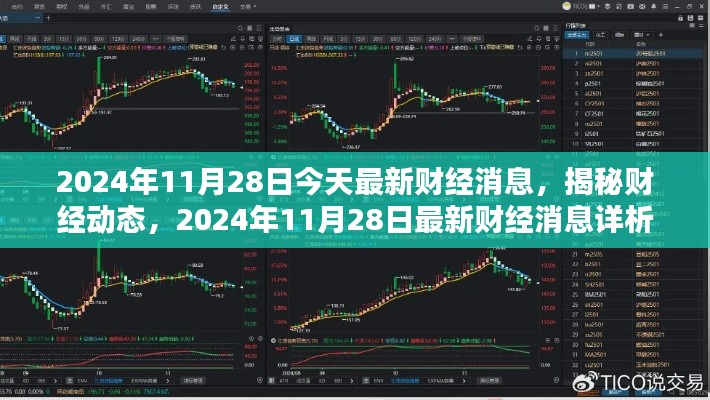 揭秘财经动态，深度解析2024年11月28日最新财经消息