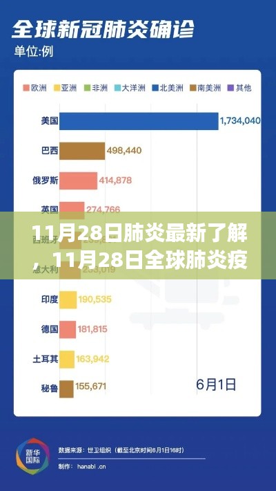 全球肺炎疫情最新进展与理解，11月28日最新报告