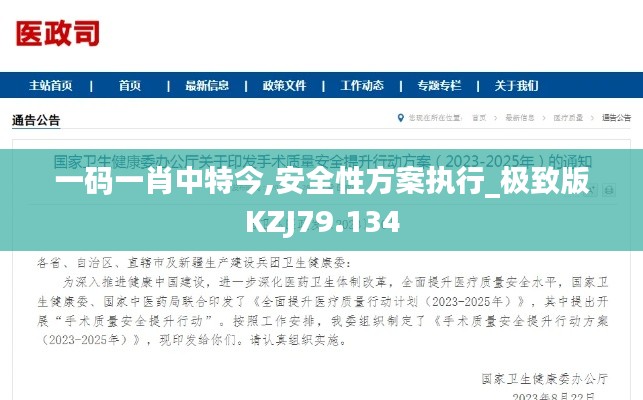 一码一肖中特今,安全性方案执行_极致版KZJ79.134