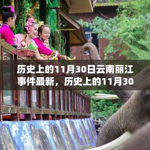 历史上的11月30日，云南丽江事件最新进展与静谧之旅探寻内心平和与自然的魅力