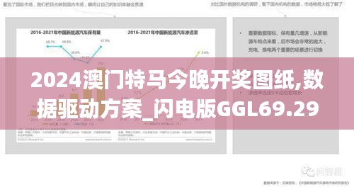 2024澳门特马今晚开奖图纸,数据驱动方案_闪电版GGL69.293