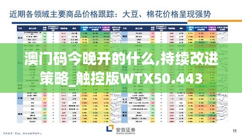 澳门码今晚开的什么,持续改进策略_触控版WTX50.443