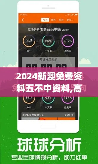 2024新澳免费资料五不中资料,高效计划实施_跨界版VRZ81.199