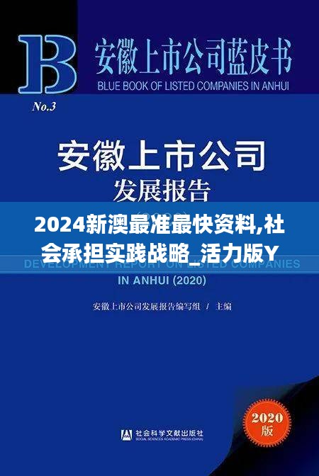 2024新澳最准最快资料,社会承担实践战略_活力版YBY19.772