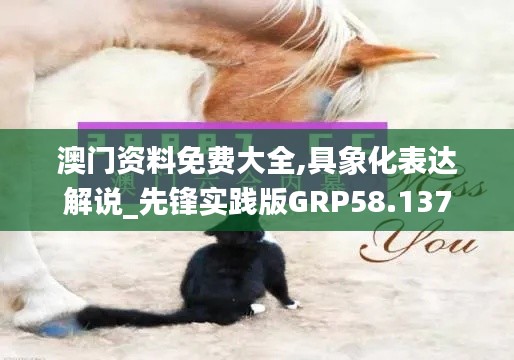 澳门资料免费大全,具象化表达解说_先锋实践版GRP58.137