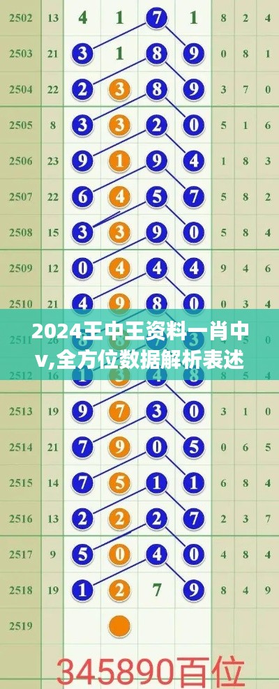 2024王中王资料一肖中v,全方位数据解析表述_任务版AQR85.675