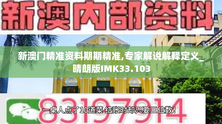 新澳门精准资料期期精准,专家解说解释定义_晴朗版IMK33.103