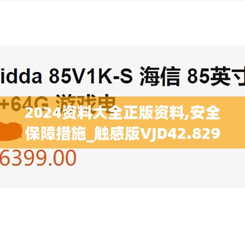 2024资料大全正版资料,安全保障措施_触感版VJD42.829