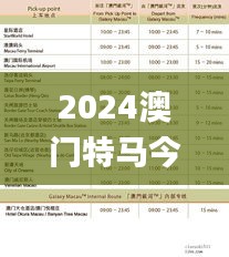 2024澳门特马今晚开奖记录,平衡计划息法策略_限量版TJD90.600