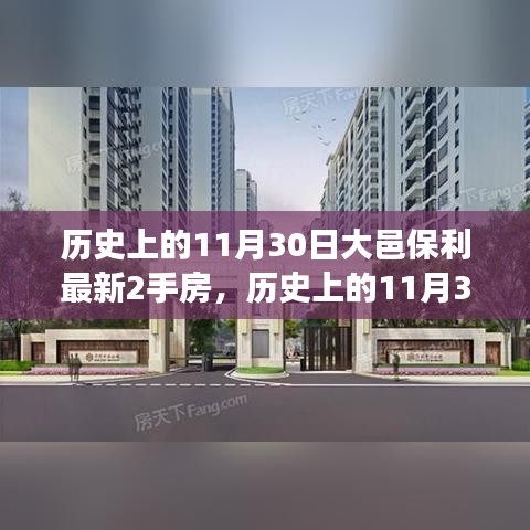 历史上的11月30日大邑保利二手房市场深度解析与最新房源评测报告发布！