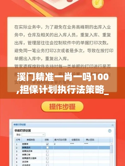 溪门精准一肖一吗100,担保计划执行法策略_精英版QVE41.366