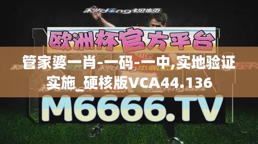 管家婆一肖-一码-一中,实地验证实施_硬核版VCA44.136