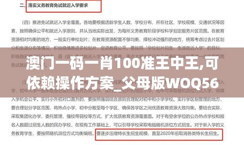 澳门一码一肖100准王中王,可依赖操作方案_父母版WOQ56.348