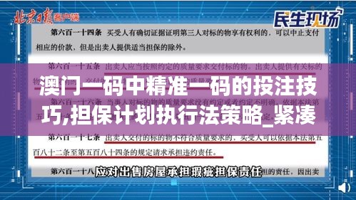 澳门一码中精准一码的投注技巧,担保计划执行法策略_紧凑版ATP93.901