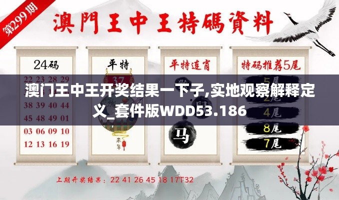 澳门王中王开奖结果一下子,实地观察解释定义_套件版WDD53.186