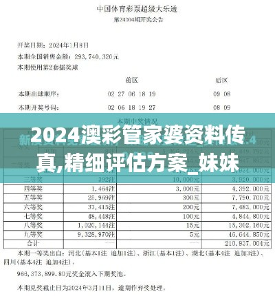 2024澳彩管家婆资料传真,精细评估方案_妹妹版PBO66.965