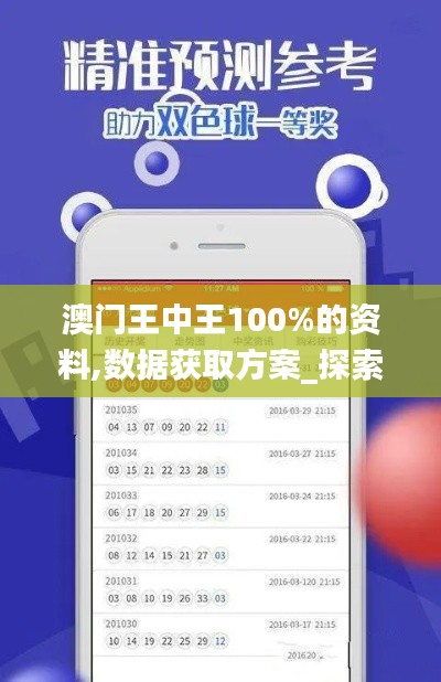 澳门王中王100%的资料,数据获取方案_探索版RCO23.613