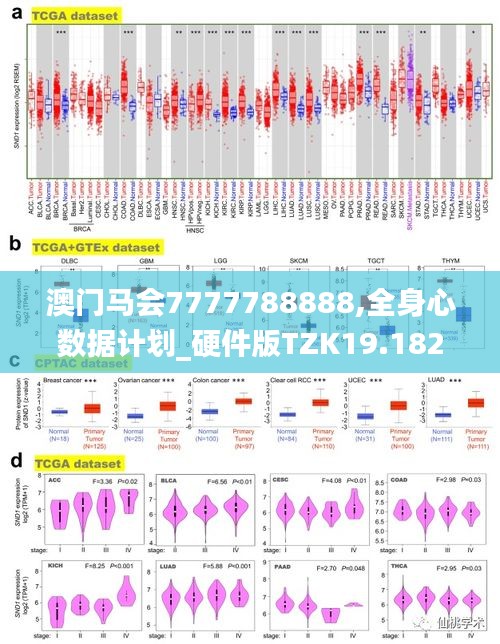 澳门马会7777788888,全身心数据计划_硬件版TZK19.182