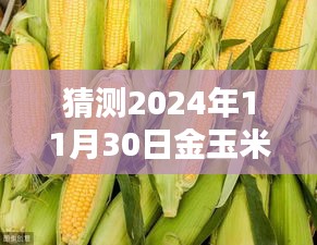 揭秘未来走势，预测2024年11月30日金玉米最新玉米价格及走势分析