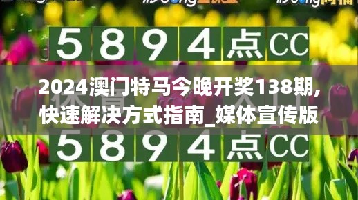 2024澳门特马今晚开奖138期,快速解决方式指南_媒体宣传版AEA13.398