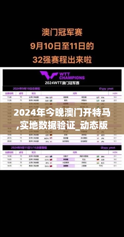 2024年今晚澳门开特马,实地数据验证_动态版WMI96.322