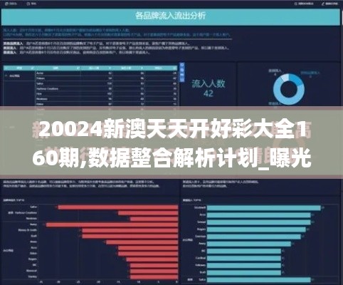 20024新澳天天开好彩大全160期,数据整合解析计划_曝光版LXO8.136