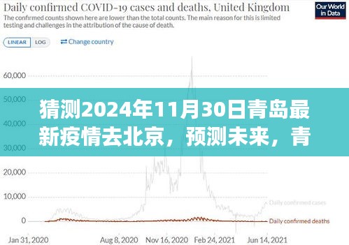 青岛疫情背景下预测未来北京防控策略分析，青岛疫情对北京防控策略的影响与展望（2024年预测）