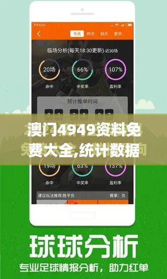 澳门4949资料免费大全,统计数据详解说明_解密版VPI90.306