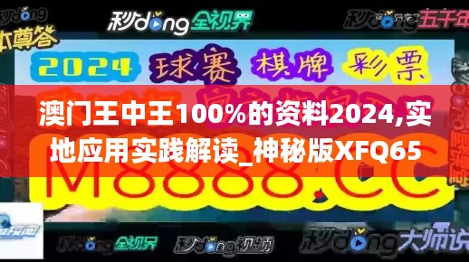 澳门王中王100%的资料2024,实地应用实践解读_神秘版XFQ65.410