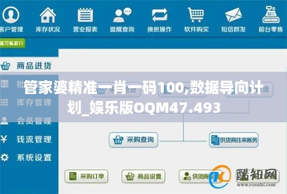 管家婆精准一肖一码100,数据导向计划_娱乐版OQM47.493