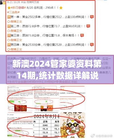 新澳2024管家婆资料第14期,统计数据详解说明_游戏版VIB86.994