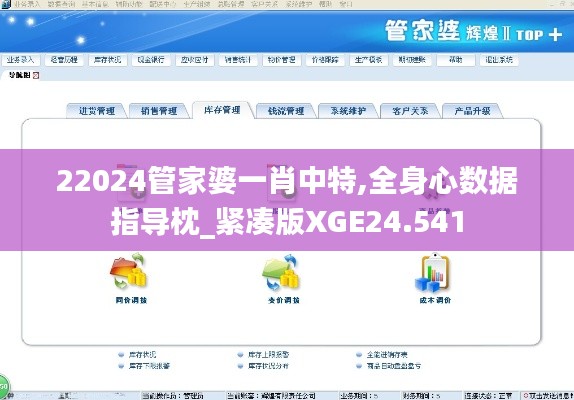 22024管家婆一肖中特,全身心数据指导枕_紧凑版XGE24.541