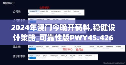 2024年澳门今晚开码料,稳健设计策略_可靠性版PWY45.426