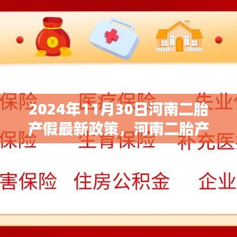 河南二胎产假政策最新动态解读，2024年11月30日更新及观点分析