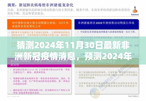 2024年11月30日非洲新冠疫情最新动态与预测消息概述