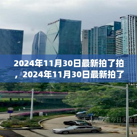 学习变革，自信成就未来，一场励志之旅的启示（2024年11月30日最新）