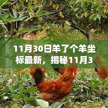 揭秘11月30日羊了个羊最新坐标与游戏攻略！