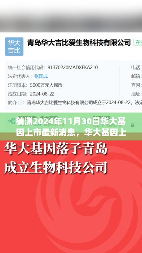 华大基因上市最新动态，自然之旅引领心灵与科技的和谐共振，预测至2024年11月30日的新动态揭晓