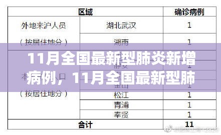 11月全国新型肺炎新增病例分析与观察