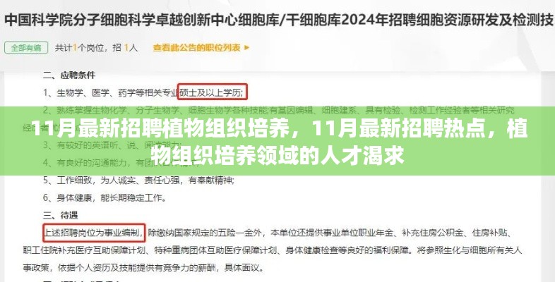 11月植物组织培养领域人才招聘热点，专业人才渴求