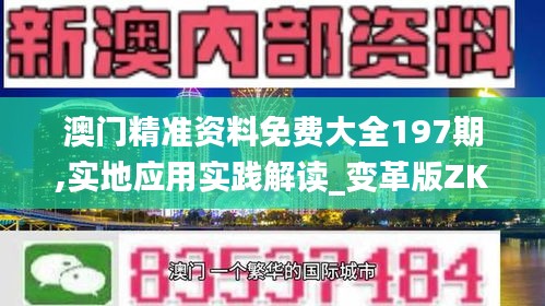 澳门精准资料免费大全197期,实地应用实践解读_变革版ZKN62.978