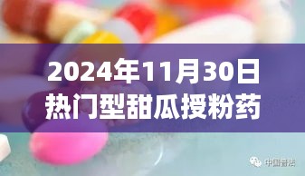 甜瓜授粉药背后的自然之旅与心灵探险之旅，寻找内心平静的奇妙旅程