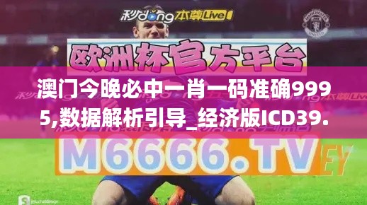 澳门今晚必中一肖一码准确9995,数据解析引导_经济版ICD39.498