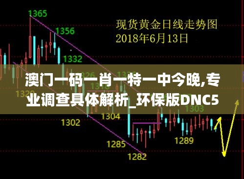 澳门一码一肖一特一中今晚,专业调查具体解析_环保版DNC54.700