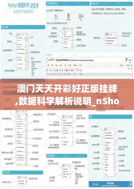 澳门天天开彩好正版挂牌,数据科学解析说明_nShopLIL69.870