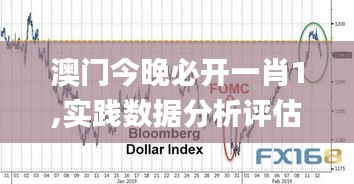 澳门今晚必开一肖1,实践数据分析评估_智慧版DBO88.911