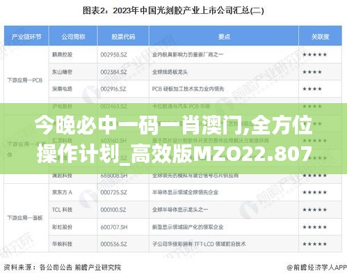 今晚必中一码一肖澳门,全方位操作计划_高效版MZO22.807