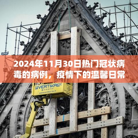 疫情下的温馨日常，冠状病毒奇遇与友情的纽带（2024年11月30日热门病例）