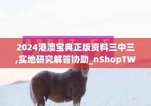 2024港澳宝典正版资料三中三,实地研究解答协助_nShopTWM58.291