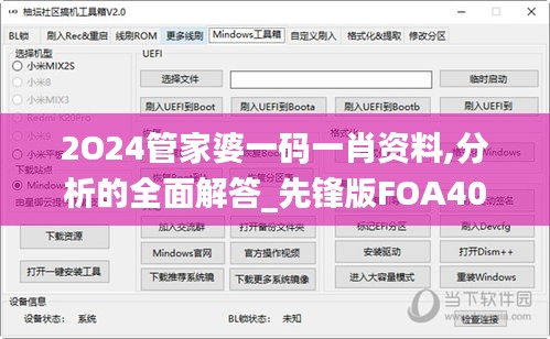 2O24管家婆一码一肖资料,分析的全面解答_先锋版FOA40.785